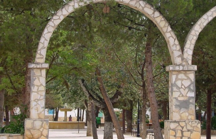 Arboles y arcos